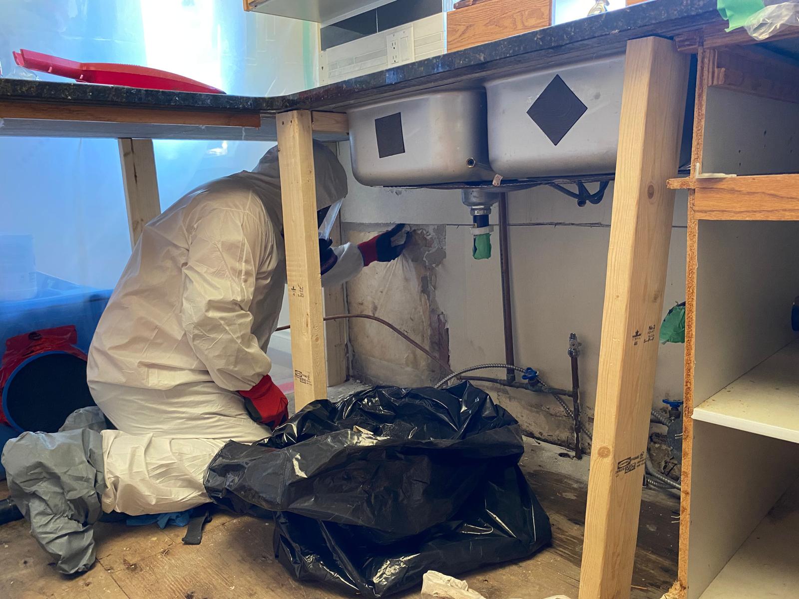 Mold Remediation